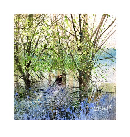 Bluebell Walk by Sue Howells - limited edition print